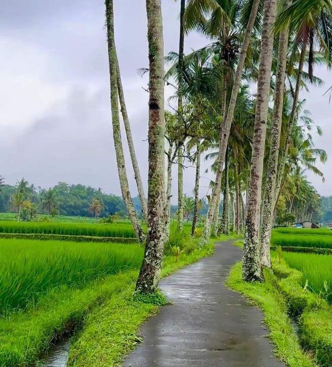 Kerala during monsoon season