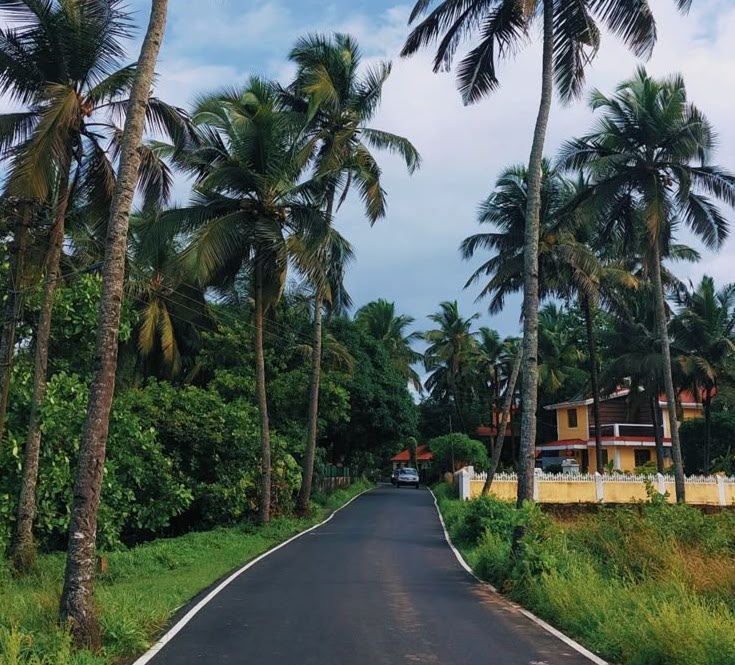 Scenic road trip from Goa to Kerala