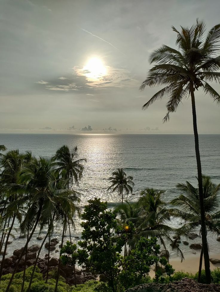 Sunset Views