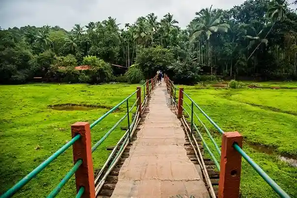Spice Plantation Tour