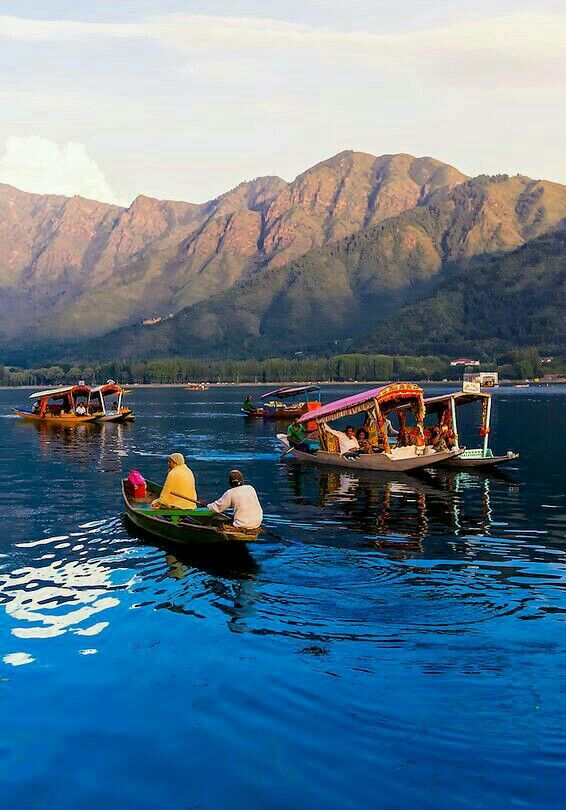 Dal Lake Shikara