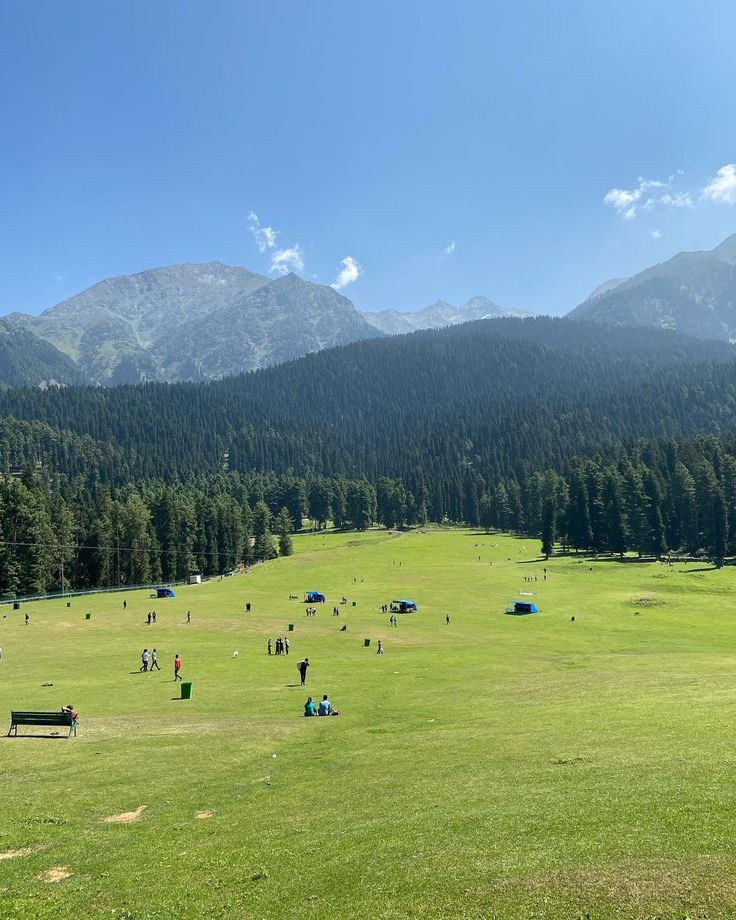 Pahalgam Landscape