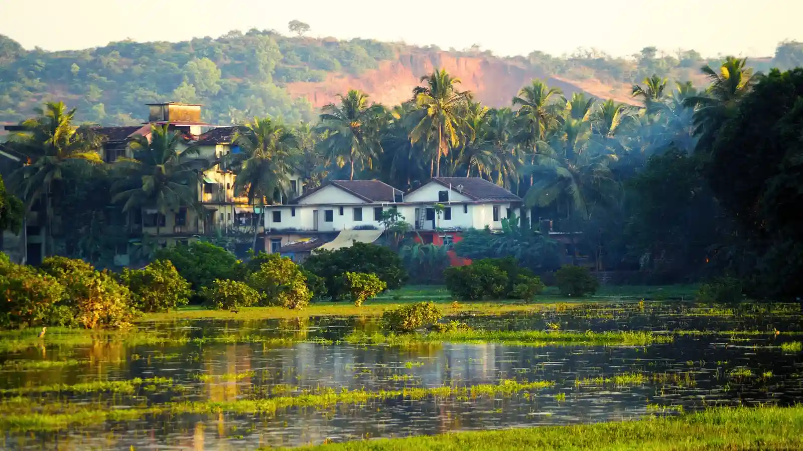 Goan Villages