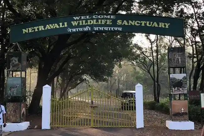 Wildlife Sanctuary