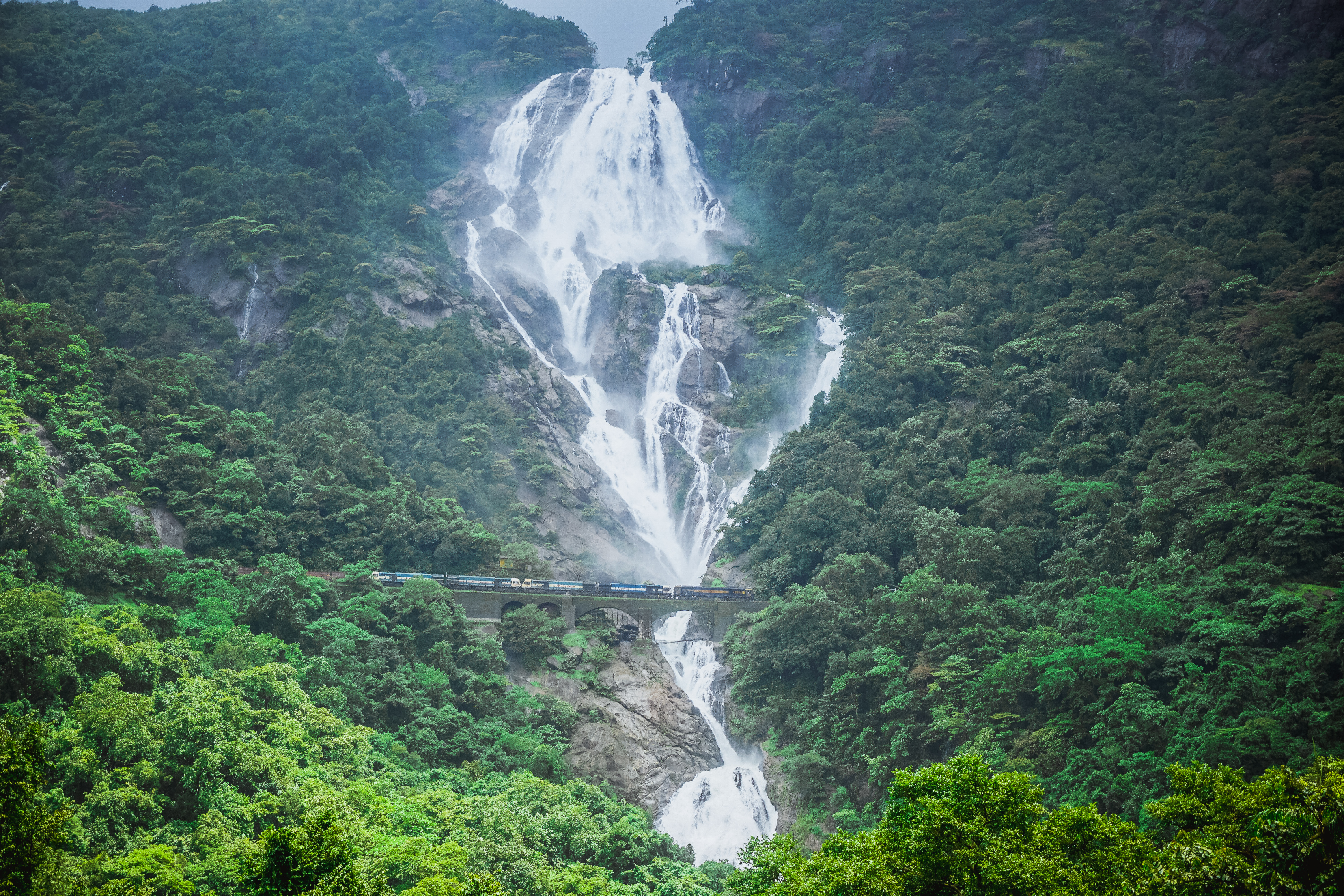 Dudhsagar Waterfall & Spice Plantation