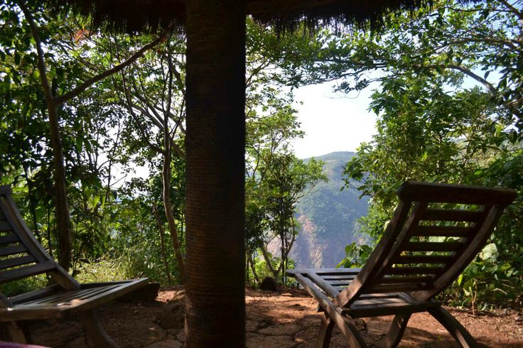 Wildernest Nature Resort
