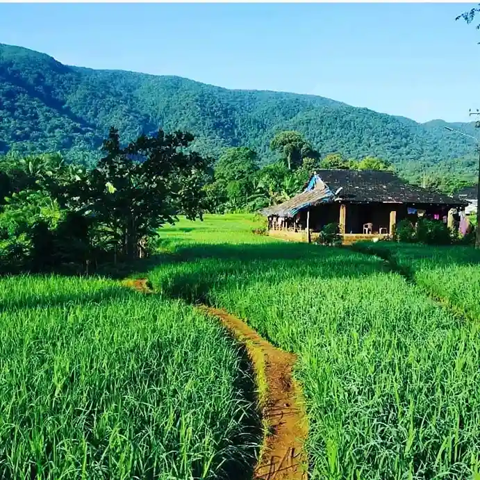 Goan Village
