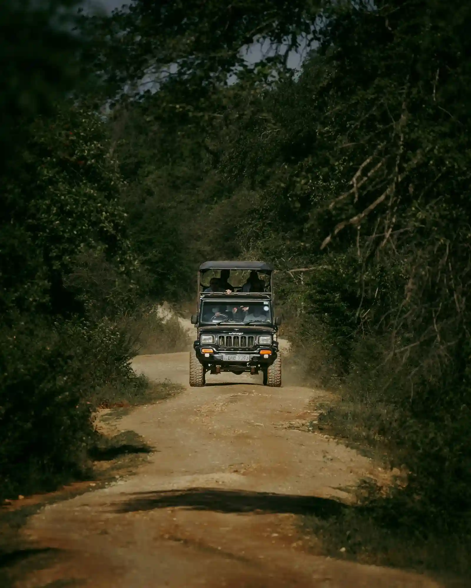 Jeep Safari