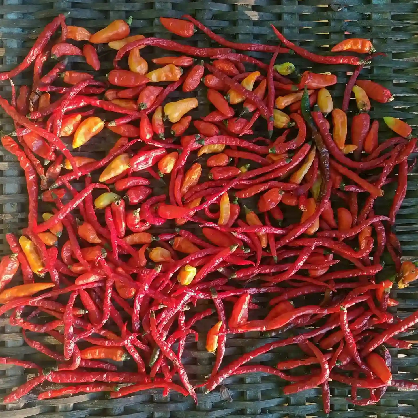 Spice Demonstration