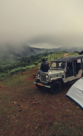 Tea Plantation Camping