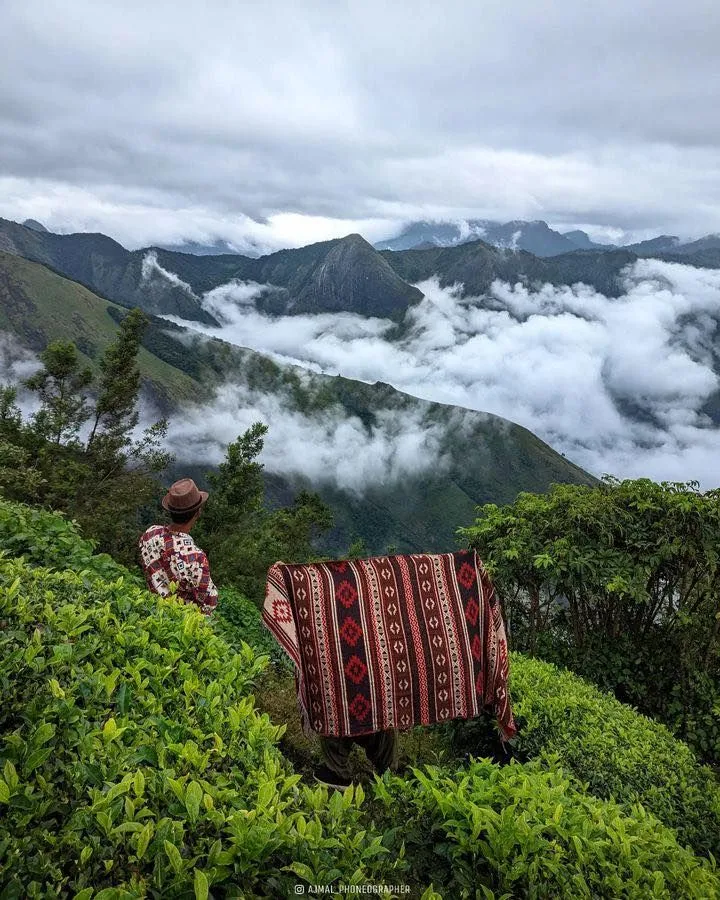 Kolukkumalai Tea Plantations