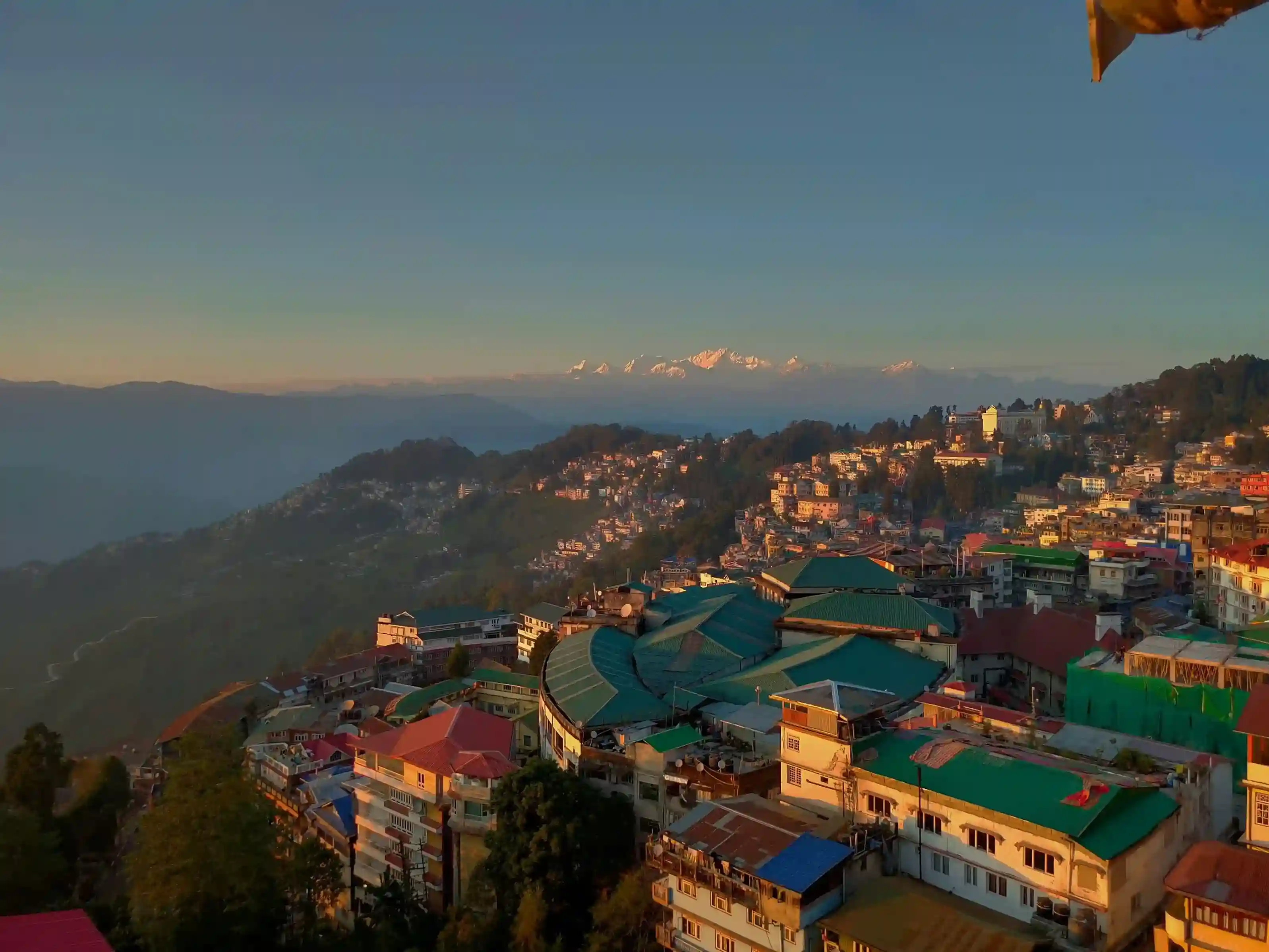 Darjeeling Tea Gardens