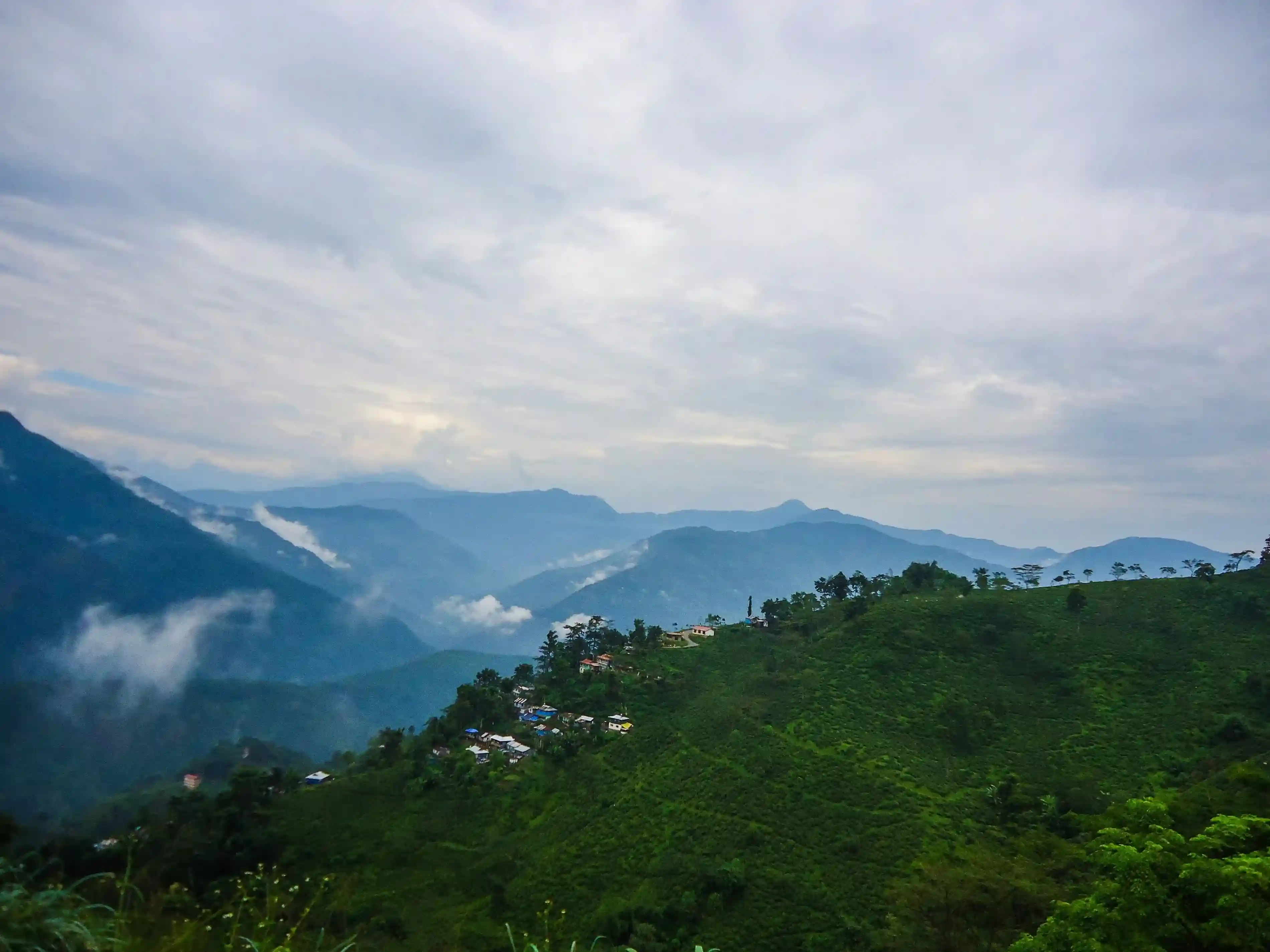 Tiger Hill Sunrise