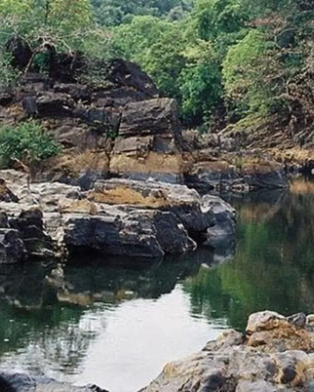One-Day Netravali Trip: Wildlife, Waterfalls & Scenic Goan Villages