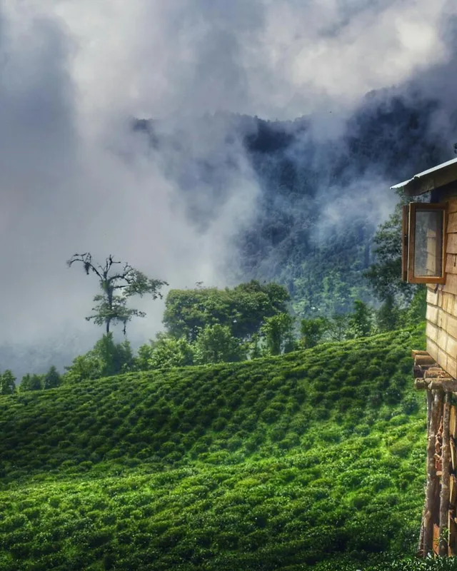 7-Day Sikkim Tour from Goa